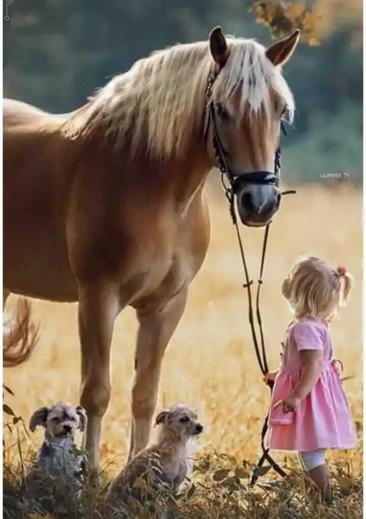 Horses & Kids
